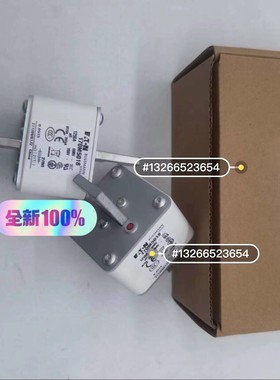 快速熔断器保险丝170M5244 170M5245 170M咨询维修