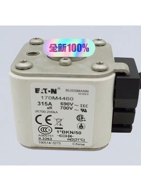 高压熔断器保险丝170M7608 170M7622 170M咨询维修