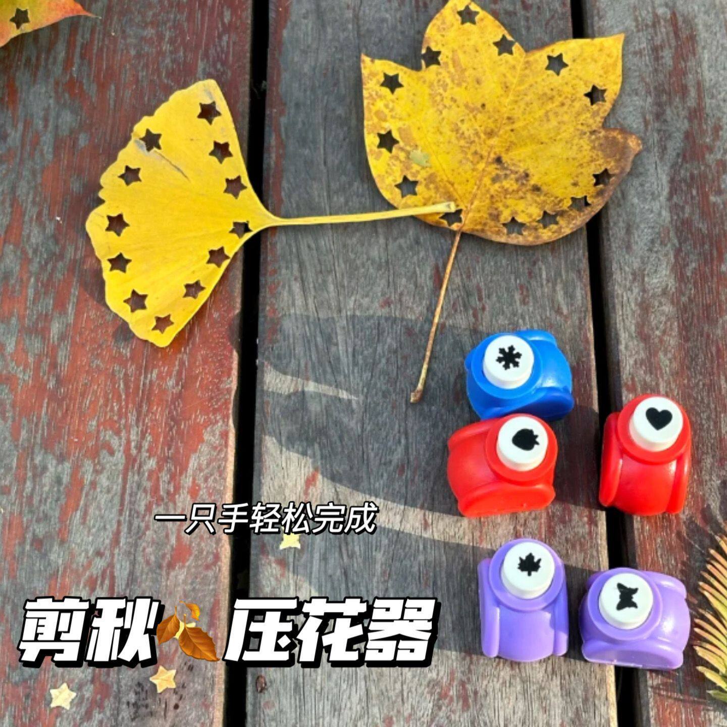 手工DIY创意材料新品压花树叶