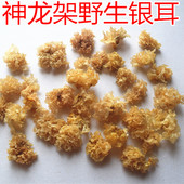 神农架野生小银耳干货白木耳雪耳孕妇糯耳天然无硫胜通江银耳100g