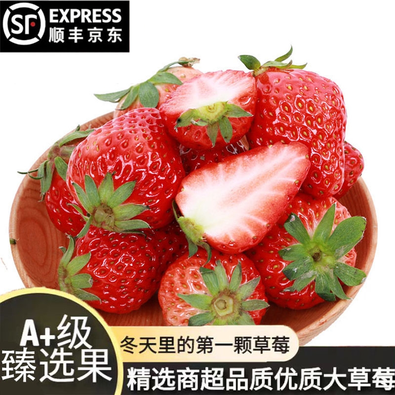 新鲜奶油草莓应当季头茬顺丰京东