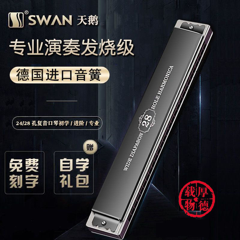 德国进口音簧28孔复音高级口琴成人专业演奏级重音24孔初学者入门