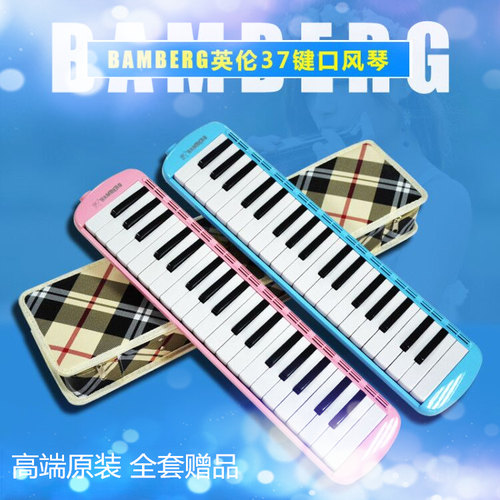 BAMBERG正品蓝黑色口风琴