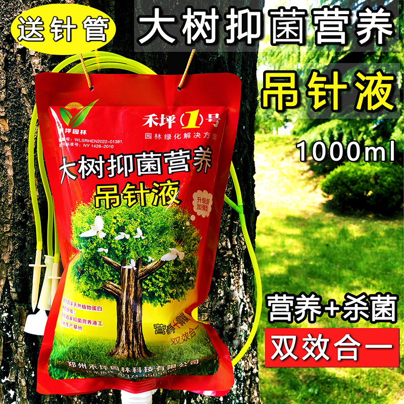 树木移栽树木吊针液营养液图片
