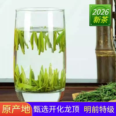 2026新茶头采明前开化龙顶