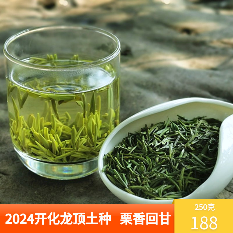 2024新茶头采嫩芽特级开化龙顶