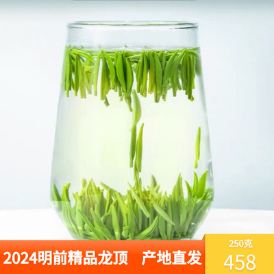 2024精品新茶头采开化龙顶明前茶高山茶雀舌嫩芽250g绿茶鲜爽回甘