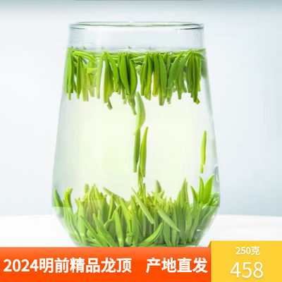 2024精品新茶头采开化龙顶明前茶高山茶雀舌嫩芽250g绿茶鲜爽回甘