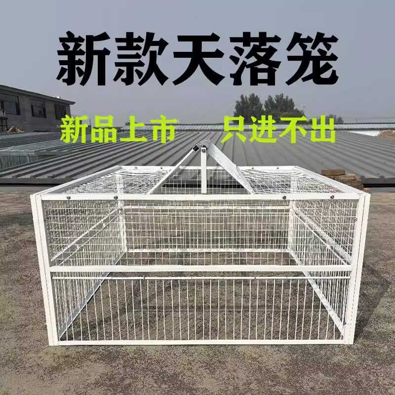 新款加密天落笼鸽子笼捕鸽信鸽用品只进不出鸽子笼跳笼拼装撞门笼