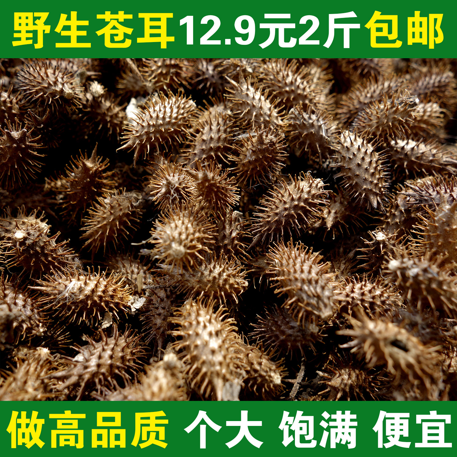 2026年新货大山采摘苍耳子中药材包邮无添加毛苍子鼻塞喷嚏苍耳