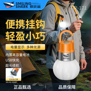 手电筒水瓶灯便捷式氛围灯户外实用多功能瓶盖灯RGB氛围光露营灯