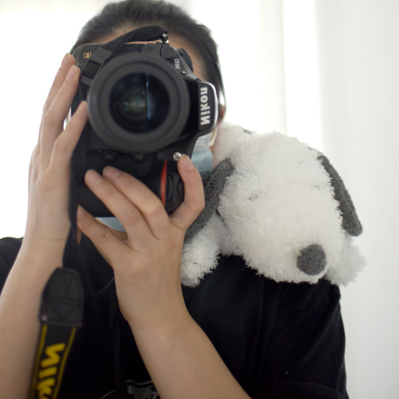 卡通毛绒趴趴白狗抱枕床头夹腿长条枕沙发靠枕午睡枕头网红拍照,居家布艺,靠垫/抱枕,淘宝优惠券,粉丝福利购,淘宝优惠卷