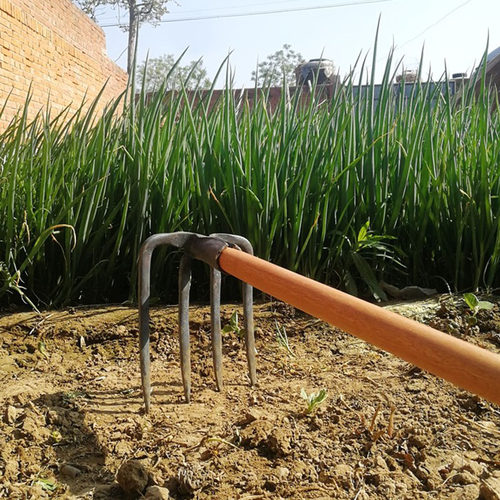 弹簧钢一体锻打四齿大锄头老式耙子地锄头农用种菜松翻土工具包邮