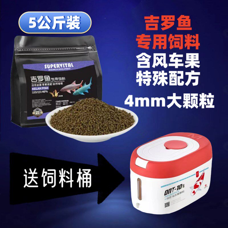 高蛋白发色国结蓝吉罗金吉罗红尾黄尾桥街保山原生观赏鱼下沉词料