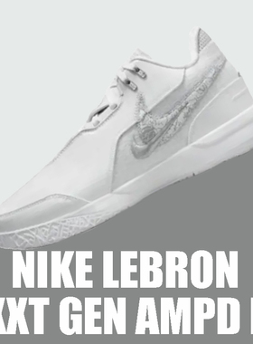 NIKE耐克ZM LEBRON NXXT GEN AMPD EP男子白银篮球鞋FJ1567-102