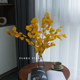 天然植物干花北欧轻奢餐厅摆设家居装 饰橱窗搭配花材秋色尤加利叶