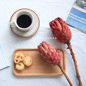 非洲进口天然干花皇室高端永生花家居橱窗装 饰北欧店铺陈列宝冠莲