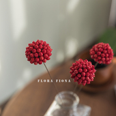 天然植物果实手工干花民宿复古摆件道具婚庆装 饰插花搭配红豆花球