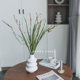 北欧风天然植物干花家居客厅装 饰玄关摆件餐厅桌面橱窗摆设火焰兰