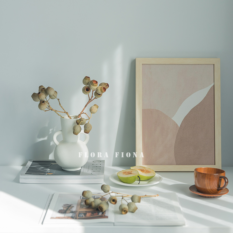 天然植物样板间摆设软装搭配配果