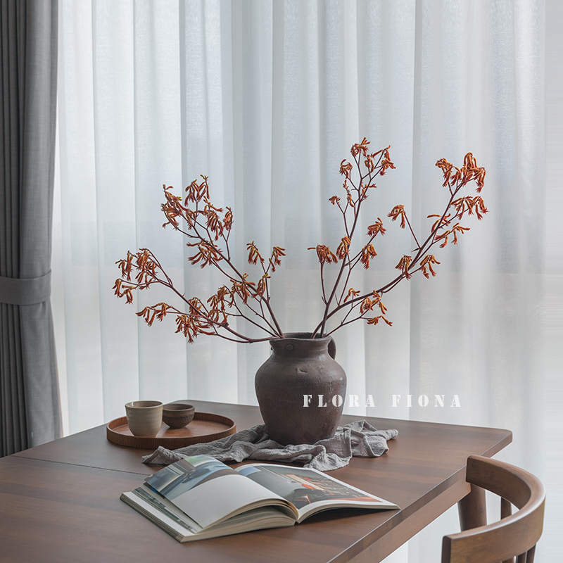 天然植物进口样板间袋鼠干树枝