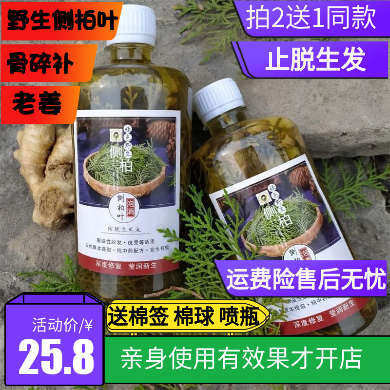 新鲜野生侧柏叶泡酒老姜止脱生发液酒精中药材侧伯叶脂溢性侧伯叶