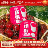 家家红新鲜糖水杨梅罐头水果罐头300g 6罐奶茶店烘焙原料