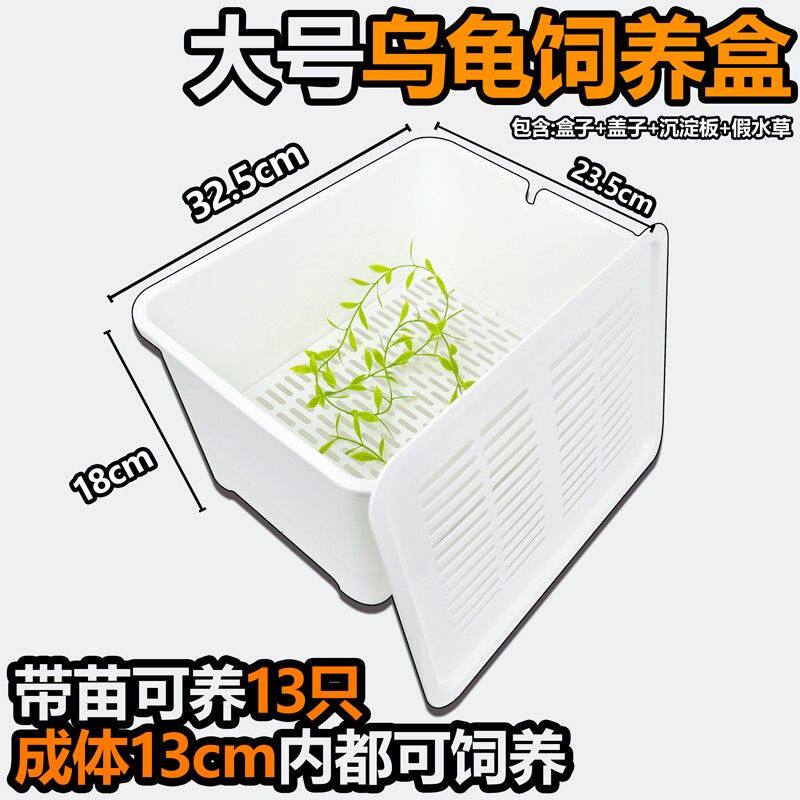 可加温乌龟饲养盒蛋龟发色盒育苗盒隔离盒龟苗饲养盒幼龟孵化盒