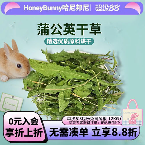 蒲公英干草清热兔子龙猫草