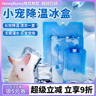 宠物降温冰盒兔兔龙猫豚鼠冰晶盒冰袋冰床散热板夏天消暑用品