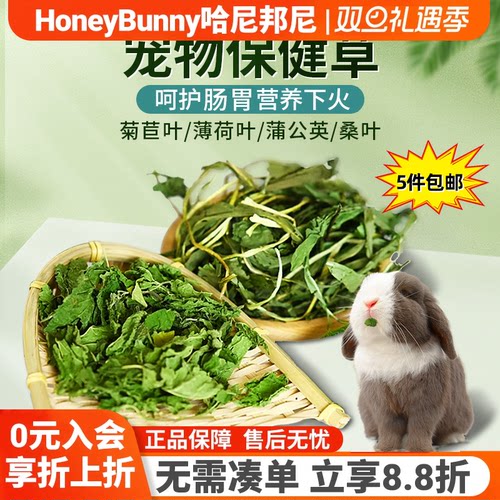 保健草薄荷叶菊苣草蒲公英桑叶