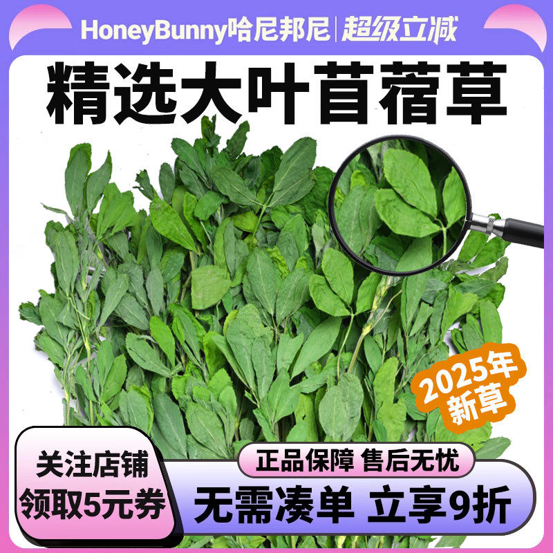 25年烘干 干苜蓿草干 干草幼兔子龙猫牧草紫花苜蓿草粮草兔粮草兔