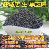 2023年食用生黑芝麻500g纯正新鲜河南驻马店生芝麻免洗杂粮无染色