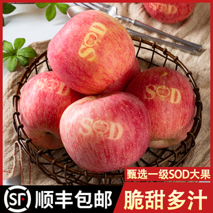 2025新鲜水果灵宝寺河山富硒SOD苹果脆甜多汁礼盒装红富士年货