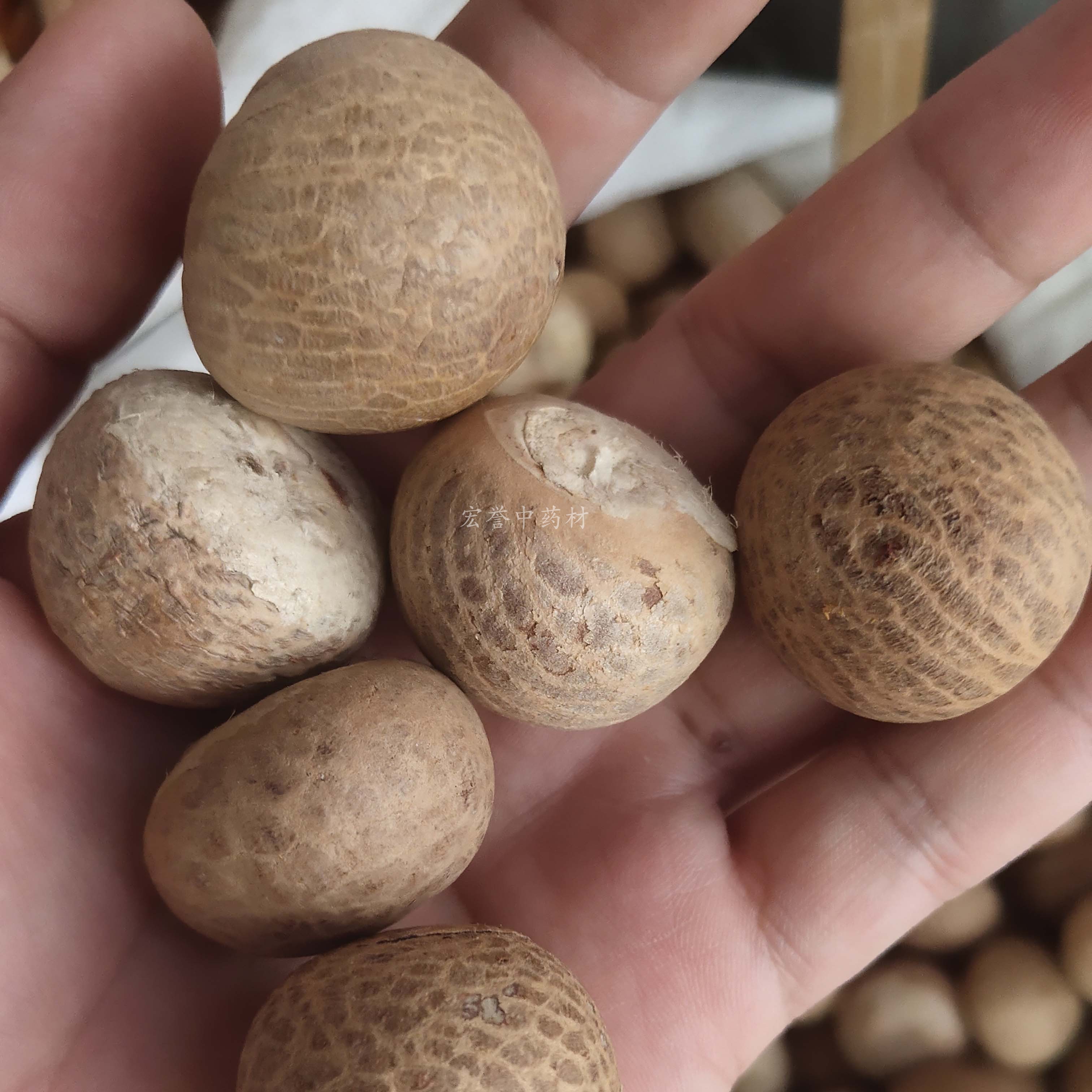 中药材槟榔个 500克包邮 腾冲胃腹果野生橄榄子胃酸  完整整个