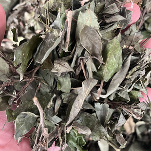 蛾蚂蟥 饿蚂蟥 山蚂蟥 粘身草 胃痛草 红掌草 山角豆 500克包邮