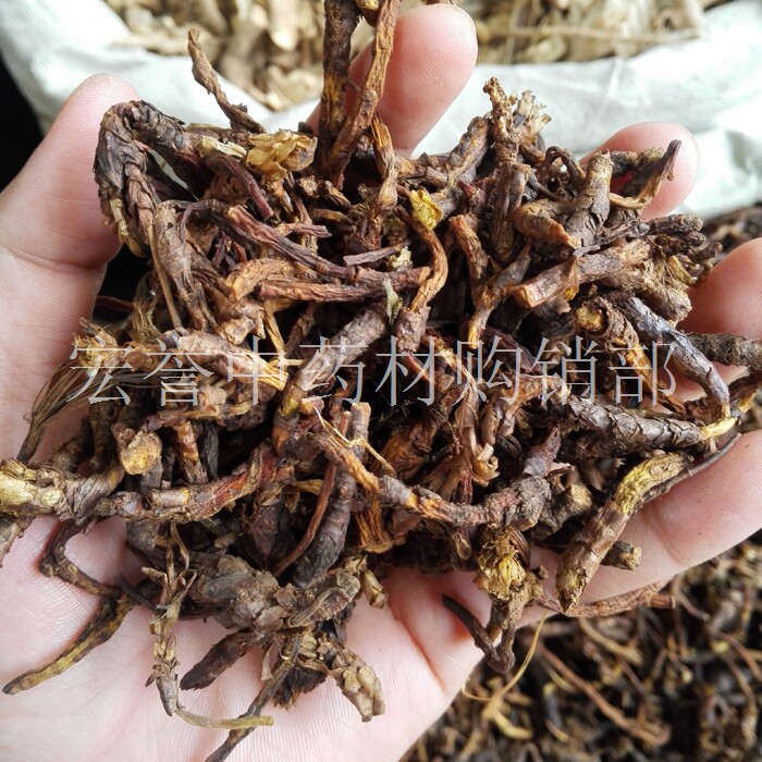 胡黄连 正品 胡连 胡黄莲  500克 足干 割孤露泽 西藏胡黄连