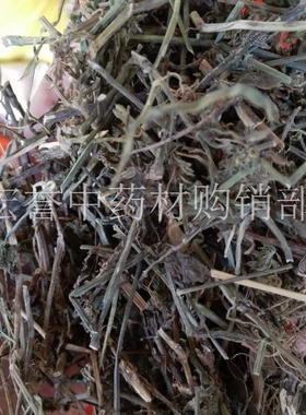 小青草 中药材 爵床草 六角英 赤眼 老母草 中草药爵床 500g