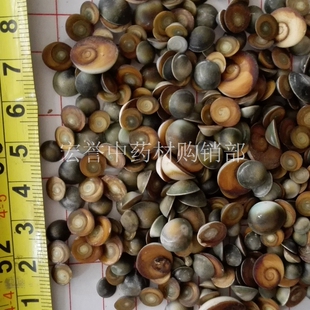 药材 海闹沙 海闹砂 紫硇砂 白硇砂 太极石甲香水云母海月催生子