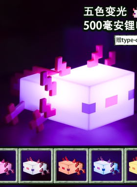 MC我的世界美西螈狐狸灯剑台灯变色瓶灯笼火把灯矿灯全套生日礼物