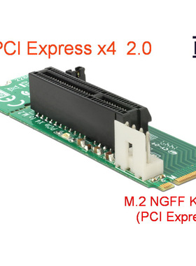 DELOCK 62584 M.2 NGFF Key M转PCI Express x4插槽台式机电脑用
