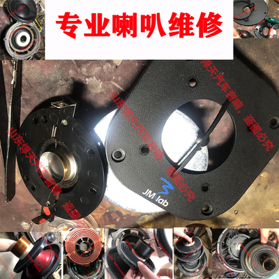 专业维修保养法国劲浪家用喇叭