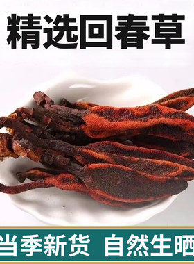 云南回春草精选新干货正品顶天柱草肉苁蓉男士性滋补泡酒茶