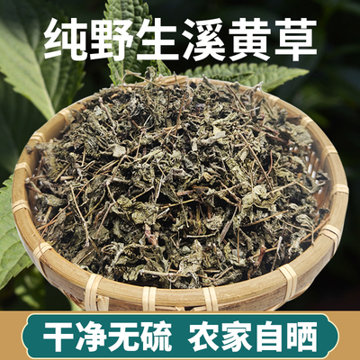 【今年新货】正宗野生溪黄草中药材肇庆稀黄草藤茶中草开水冲泡茶