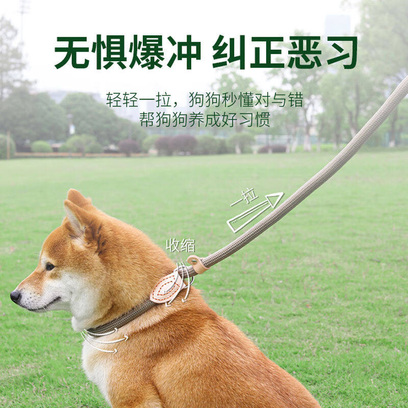 派乐特P链狗绳宠物狗狗牵引绳中大型犬16mm防爆冲遛链子项圈1.8米高性价比高么？