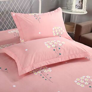 加厚枕套一对装48x74家用防尘学生宿舍用四季通40x60