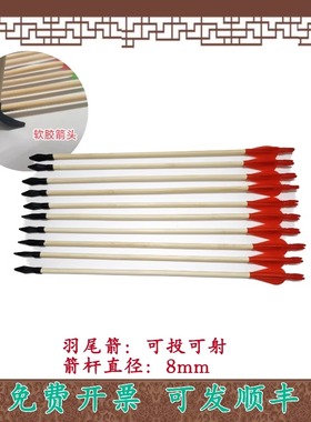 投壶箭游戏道具套幼儿园学校中国风玩具羽箭成人团建游戏木制飞镖