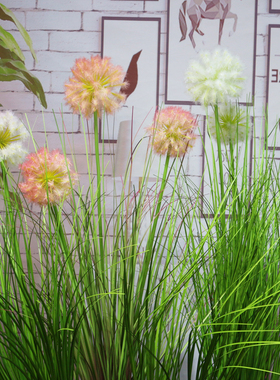 装饰花仿真蒲公英花球葱球毛球