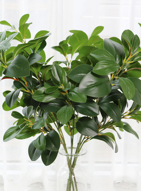 高仿真豆瓣叶北欧植物叶片厚实