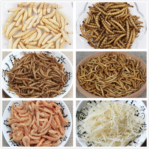 Закуски замороженное замороженное сушеные мясо хлеб Honeyworm, серебряная рыба, рыба